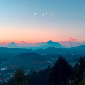 Morning Glory