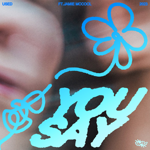 Artwork for You Say