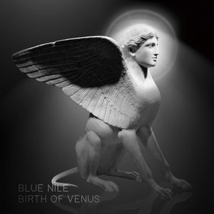 Birth Of Venus