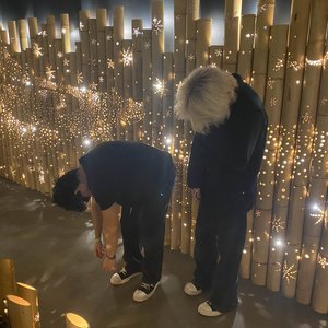 shark exhibit 的头像