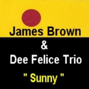 Image for 'James Brown & Dee Felice Trio'