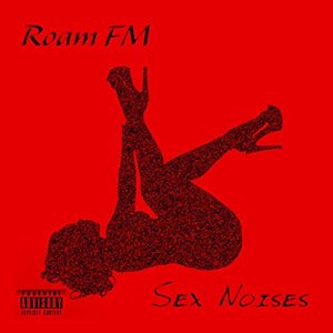 Sex Noises