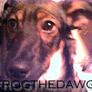 Frogthedawg