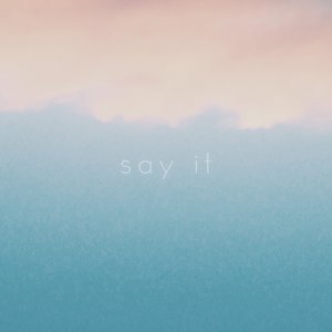 Say It
