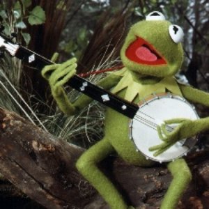 Kermit the Frog için avatar