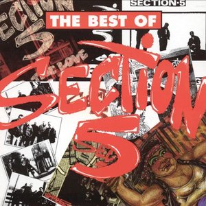 The Best Of Section 5