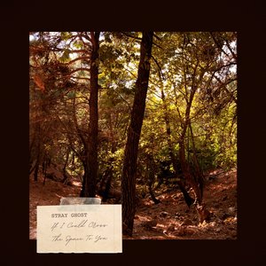 If I Could Cross The Space To You