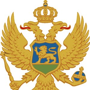 Montenegro 的头像