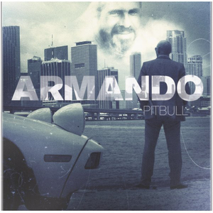 Pitbull - Armando - 11 - Orgullo Lyrics - Zortam Music
