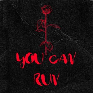 Image for 'You Can Run'