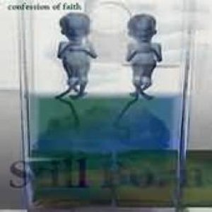 'Confession of Faith'の画像