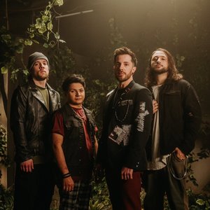 Stray View - Wasteland