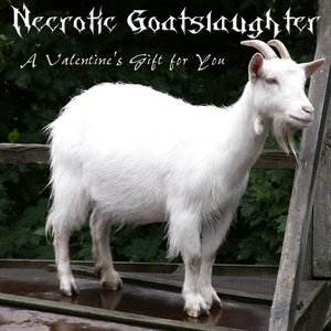 A Valentine's Gift for You