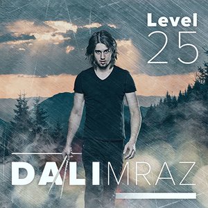 Level 25