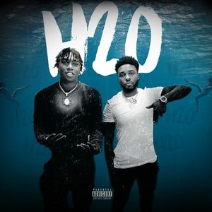 H2O