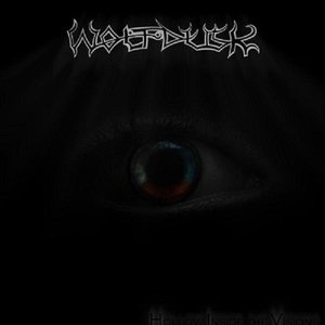 HOLLOW INSIDE THE VISIONS