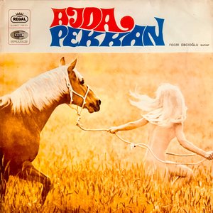 Fecri Ebcioğlu Sunar: Ajda Pekkan