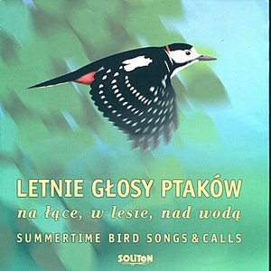 Summertime Bird Songs & Bird Calls