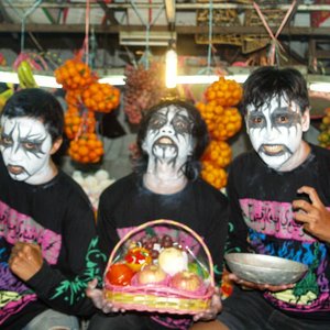 Cangkang Serigala 的头像