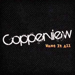 I Want It All - Single