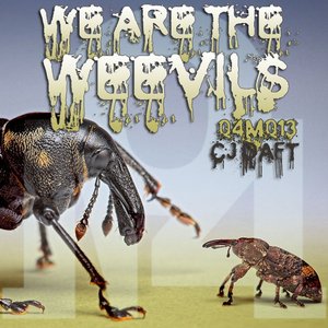 We Are the Weevils