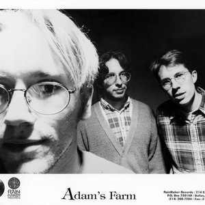 Adam's Farm 的头像
