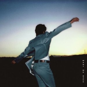 Want Me Back - Single