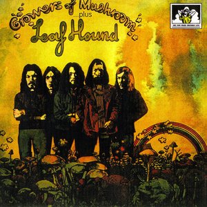 Growers of Mushroom...Plus