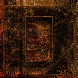 Vein // Gif from God - Split