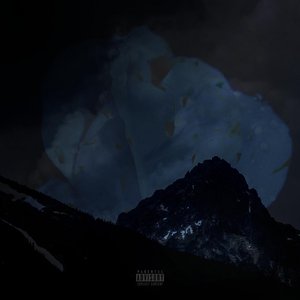 Snow Tires - Single