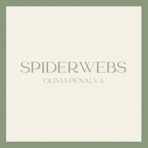 Spiderwebs