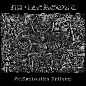 Selfdestruction Anthems