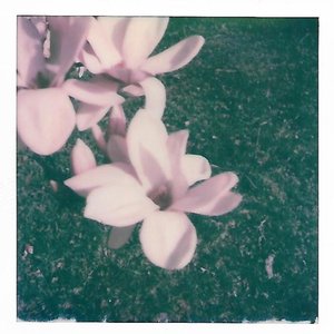 Sky - Single