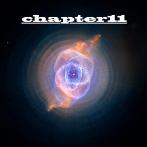 “chapter11”的封面