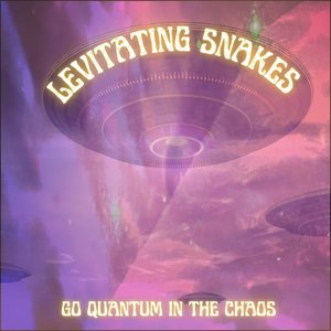 Go Quantum In The Chaos