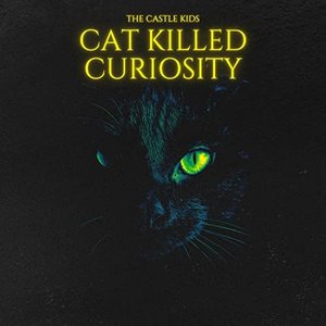 Cat Killed Curiosity