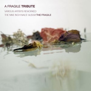 Изображение для 'A Fragile Tribute: Various Artists Reworked the Nine Inch Nails' album "The Fragile"'