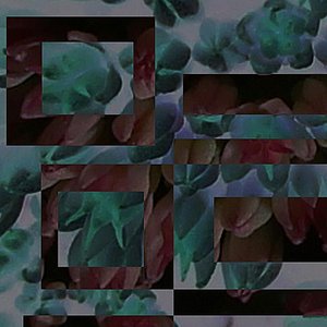 The Audio Vérité Series: FP1