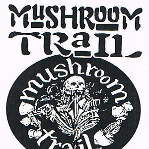 Mushroom Trail 的头像