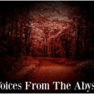 Avatar for Voices From The Abyss