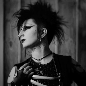 Cemetery Siren 的头像