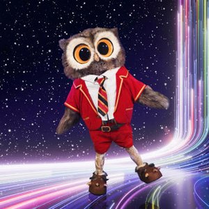 Avatar för The Masked Singer: Owl