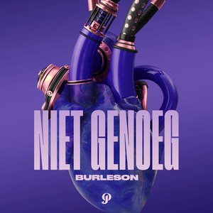 Niet Genoeg (feat. Oathmademedoit)