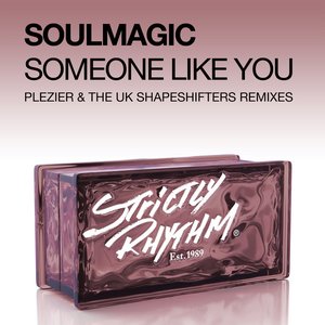 Someone Like You (Plezier & The UK Shapeshifters Remixes)