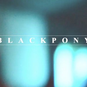 Avatar for BlackPony