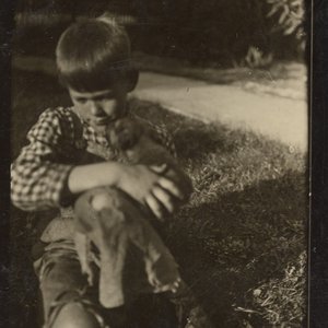 Avatar for Neuf Horses