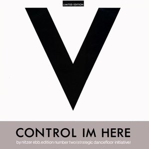 Control Im Here - Edition Number Two (Strategic Dancefloor Initiative)