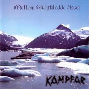 Mellom Skogledde Aaser
