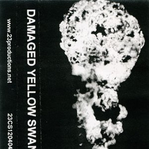 Damaged Yellow Swans