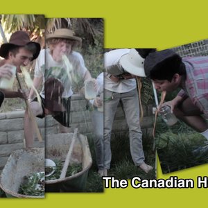 Avatar for The Canadian Haymakers